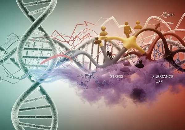 Environmental factors interacting with genetic risk