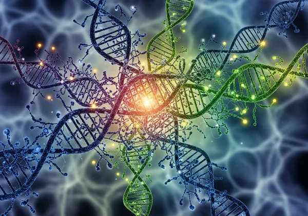 Complex genetic interplay in schizophrenia inheritance