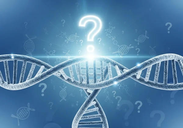 No definitive genetic test for schizophrenia